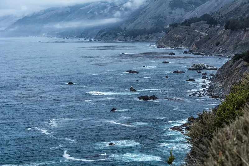 Your Nose Knows Something Your Brain Doesn't: Scent, Memory, and the Healing Aromas of Big Sur's Coastline